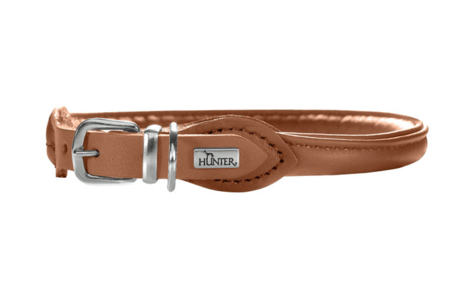 Elk dog shop collar