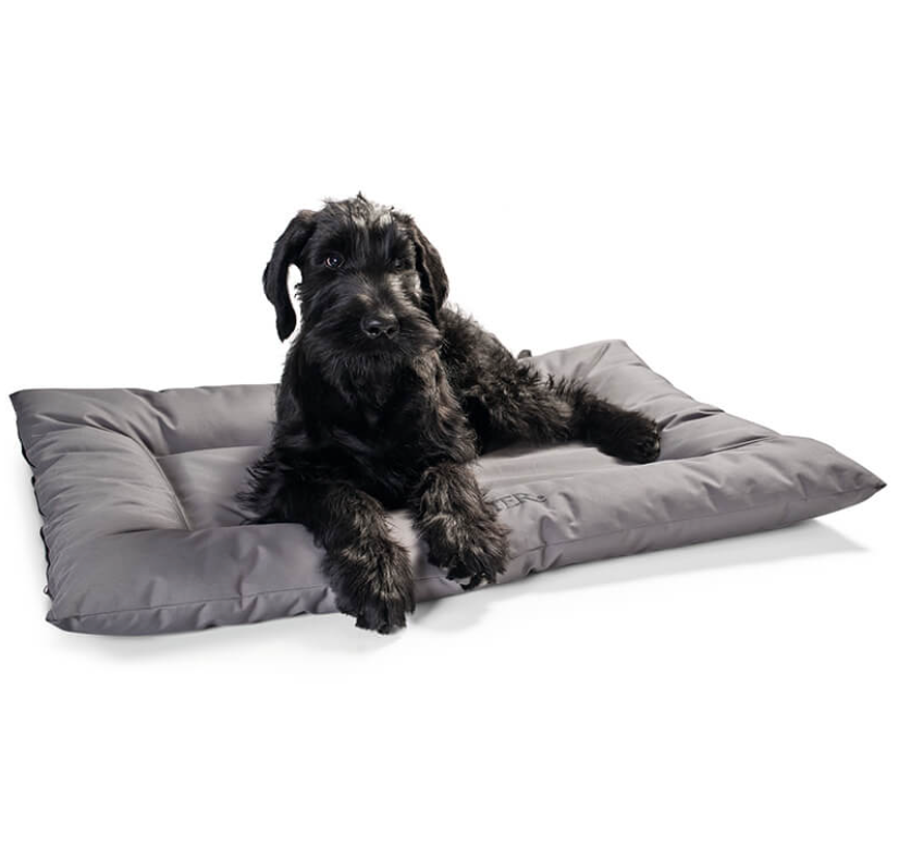 Antibacterial sales dog beds
