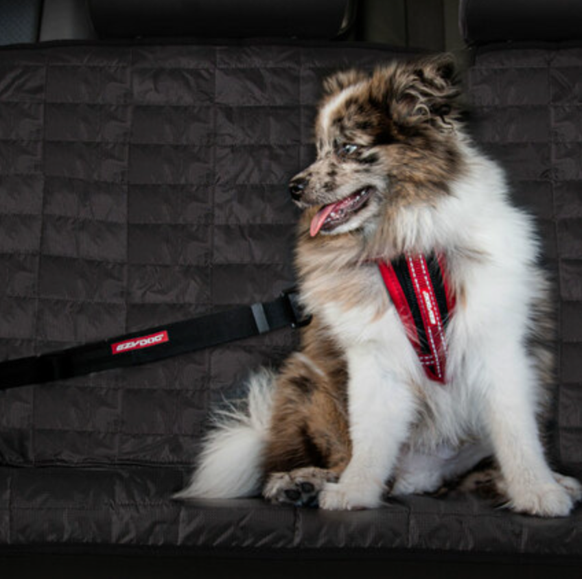 EzyDog - Click Cintura Di Sicurezza Per Cani Aggiuntivo - Guinzaglio Auto Con Fibbia (605.0748)