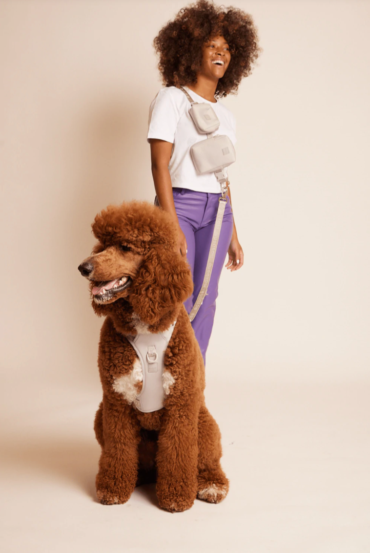 GO! With Ease Hands Free Leash Light Gray