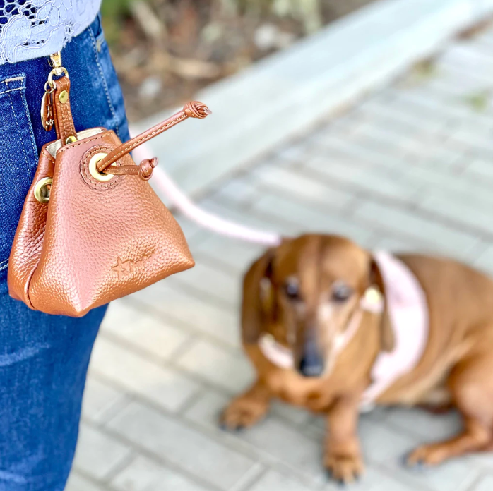 Leather Treat Bag - Bella Rose