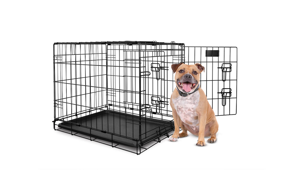 Double door pet sales crate