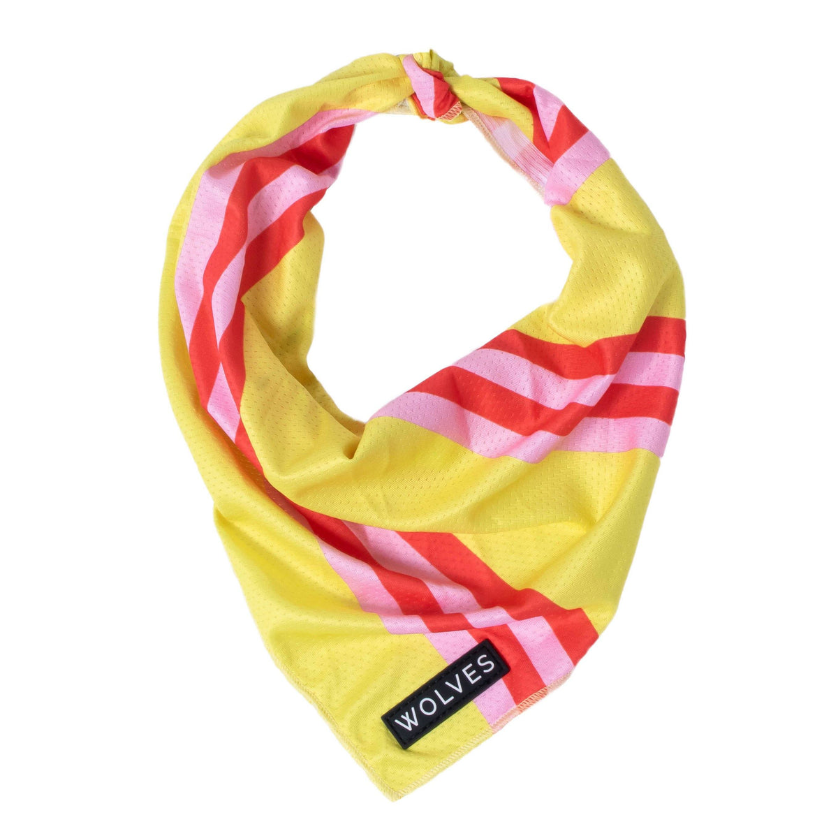 Penny Bandana Scarf main image 0