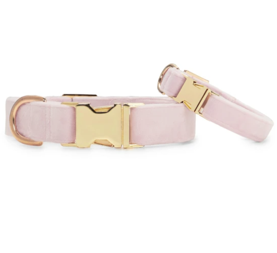 Blush pink dog collar shop