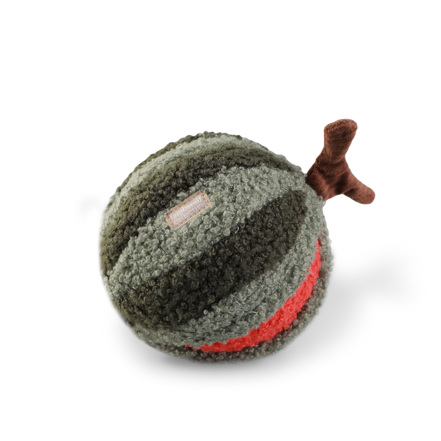 Watermelon Pop Enrichment Toy