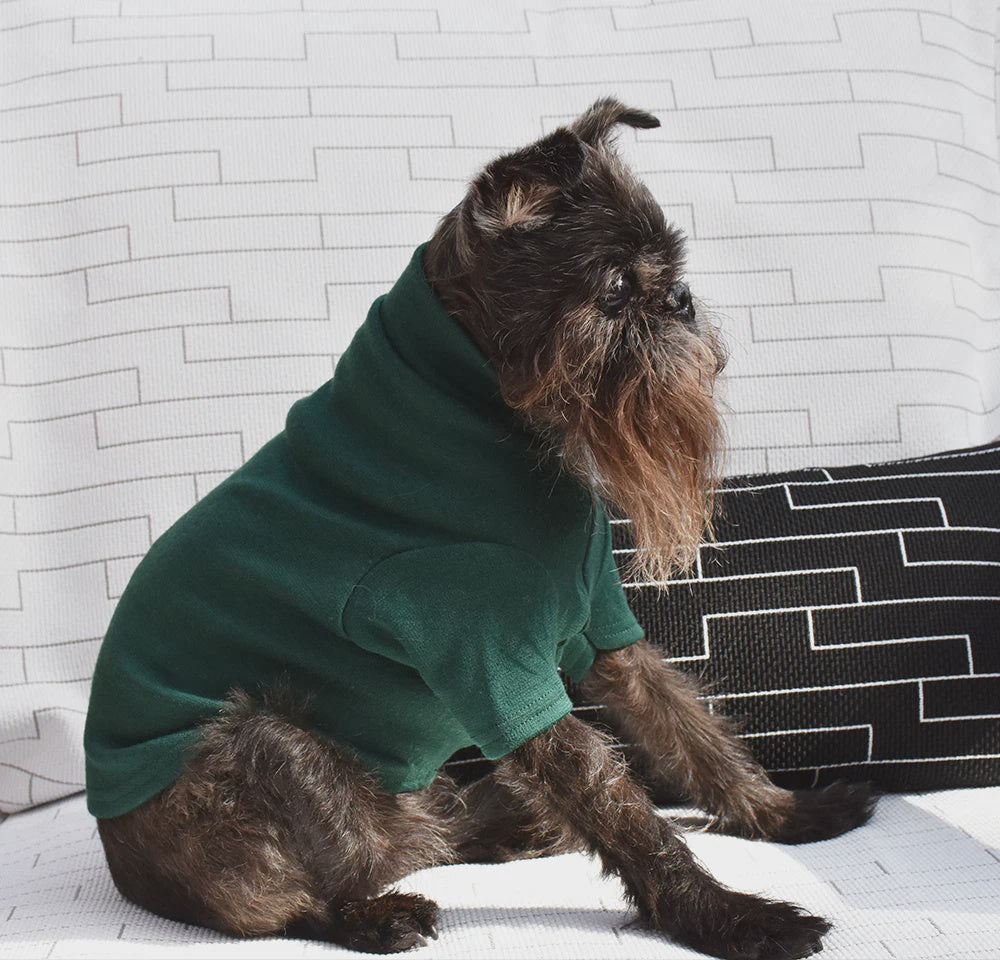 Dark Forest Green Winterweight Merino Tee