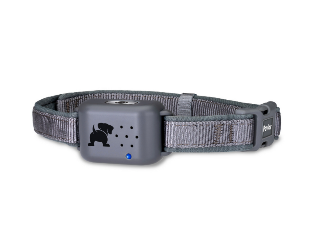 Dog proximity shop collar