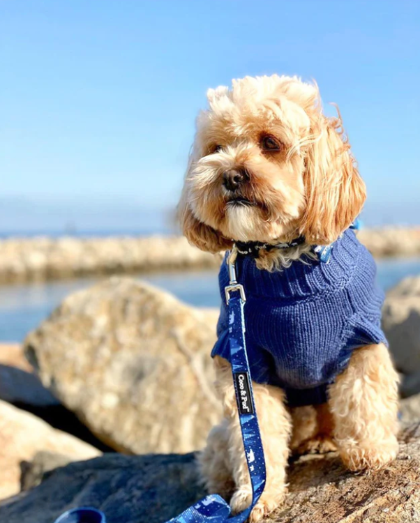 Wool Sweater in French Navy | Coco & Pud