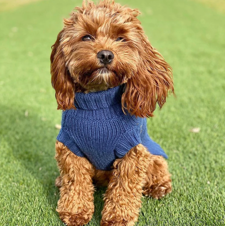 Wool Sweater in French Navy | Coco & Pud