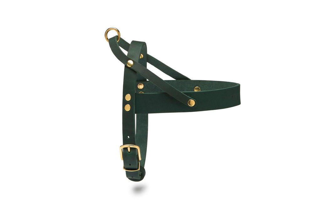 Butter Leather Harness - Forest Green - by Molly and Stitch