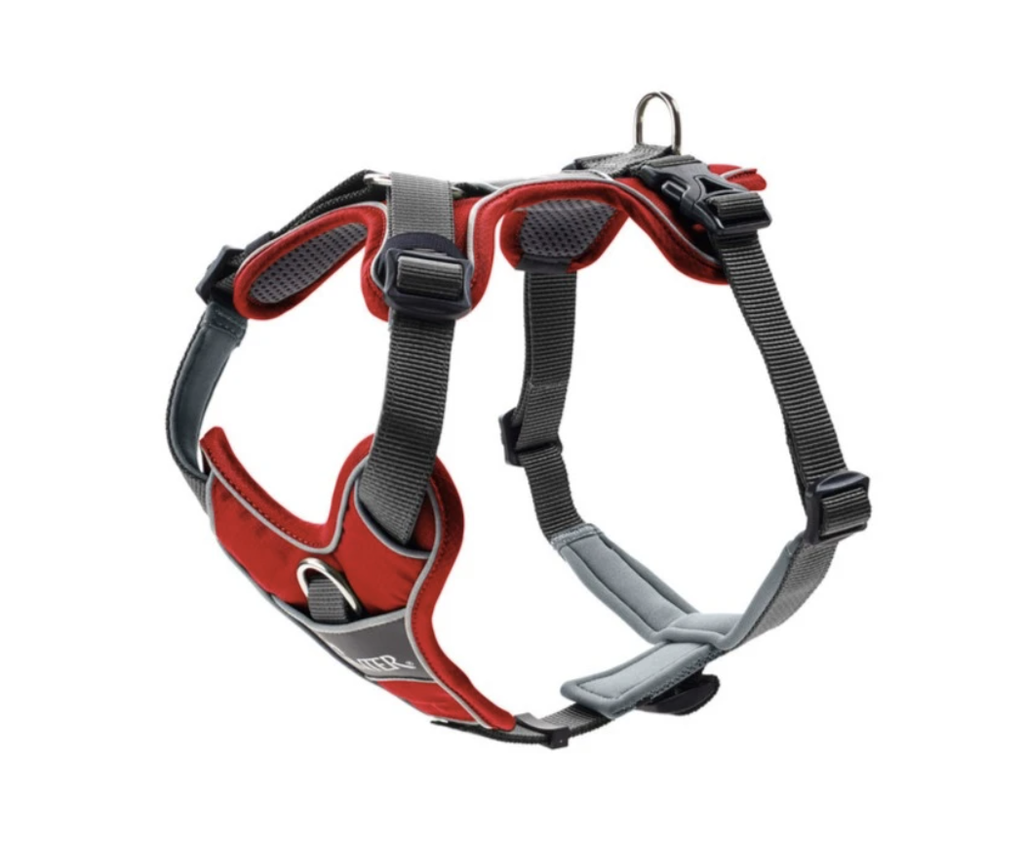 Cleo pro dog harness online
