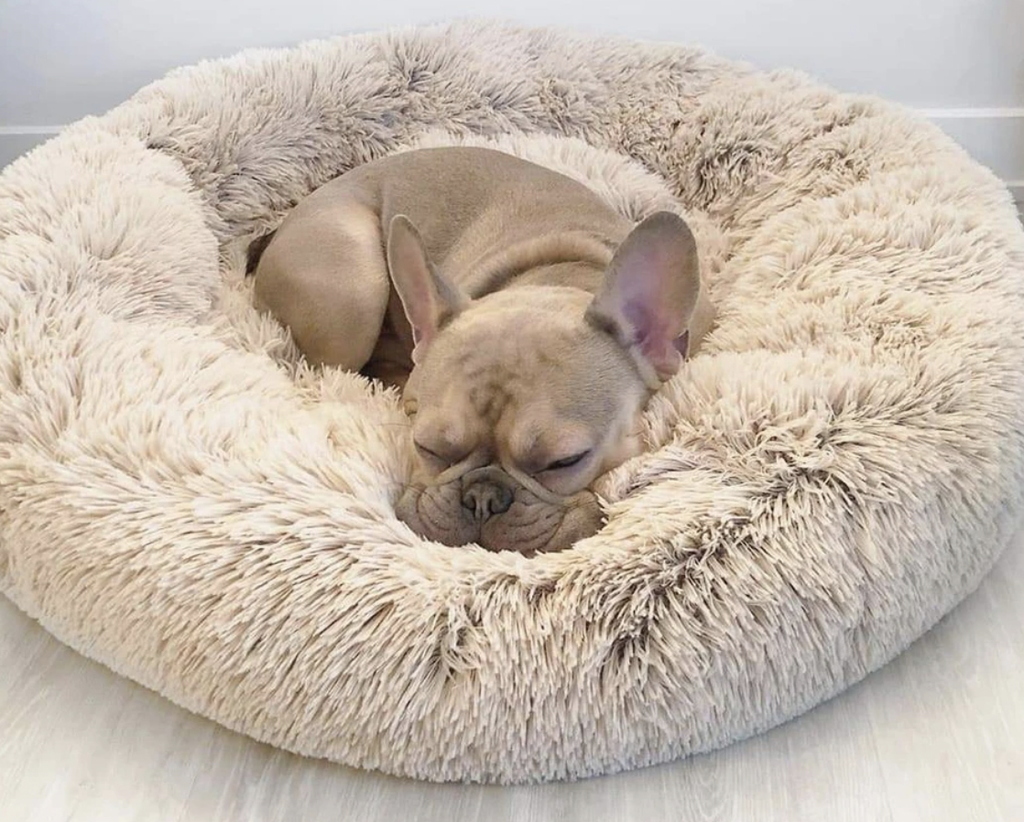 Cosy Calming Pet Bed - Latte