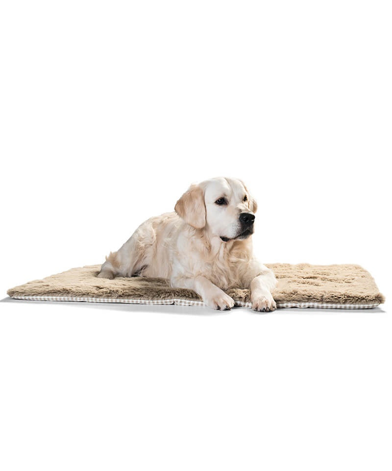 Astana Check Pet Blanket with a golden retriever lying on it