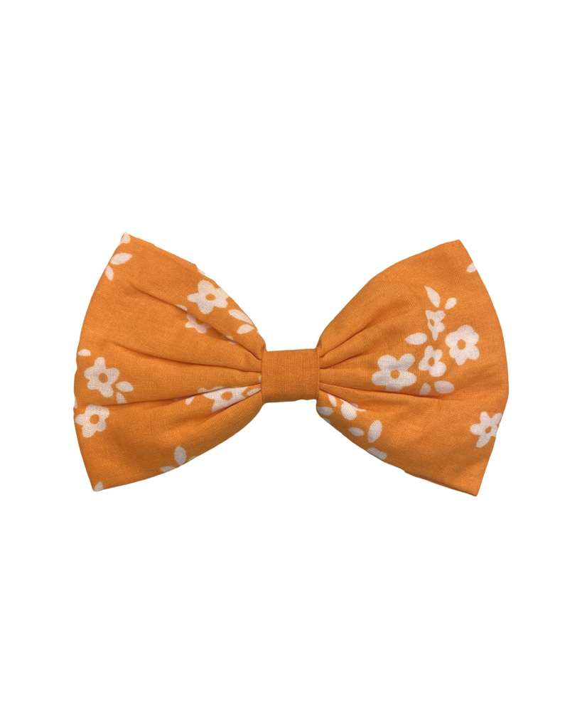 Easton Bow Tie