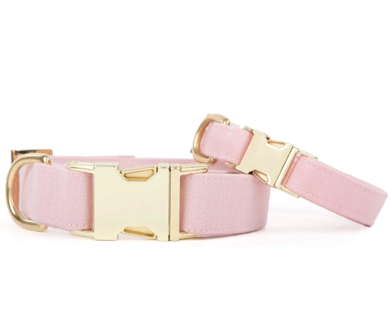 Pink and gold dog collar online
