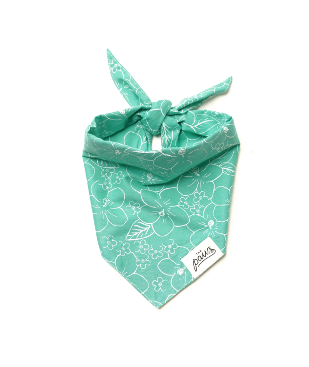 Kerikeri Bandana