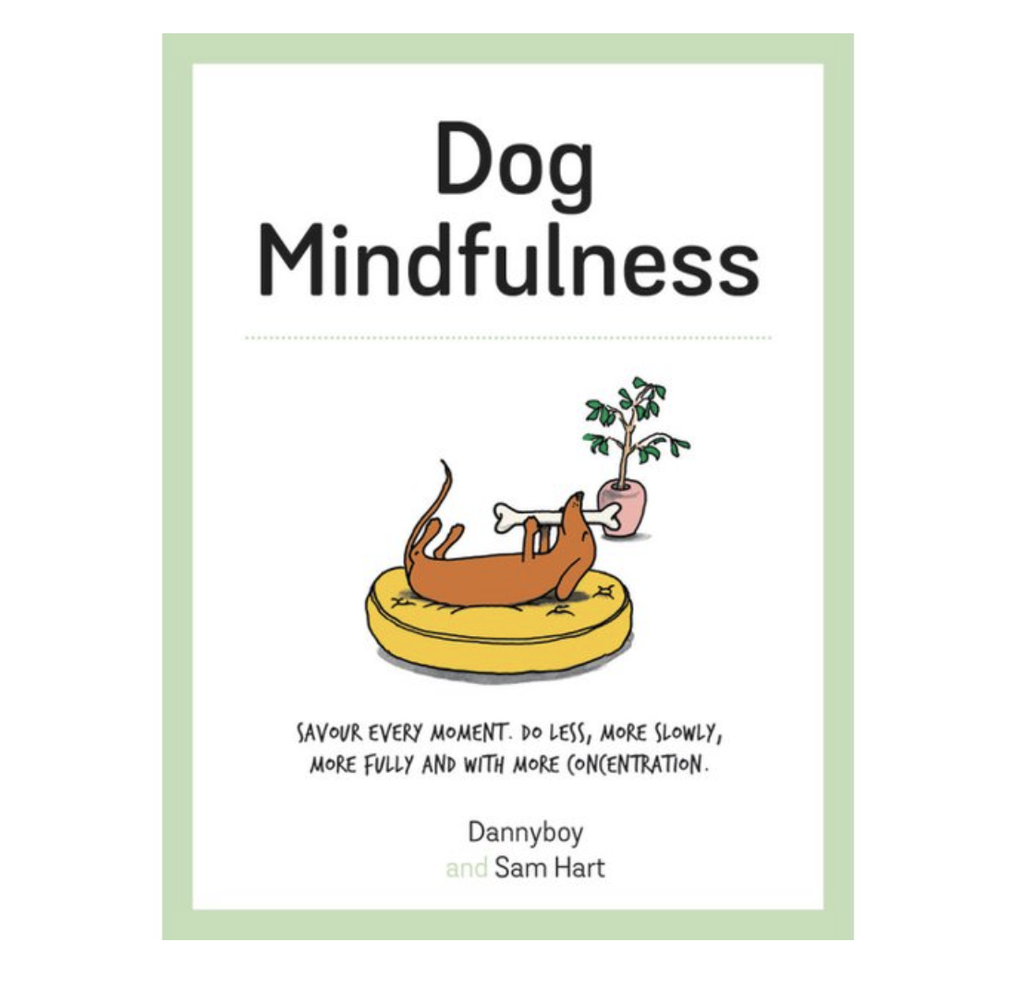 Dog Mindfulness - Savour Every Moment, Do Less, More Slowly, More Fully and with More Concentration