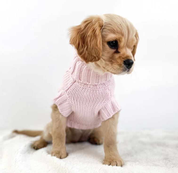 Dog 2025 wooly jumpers