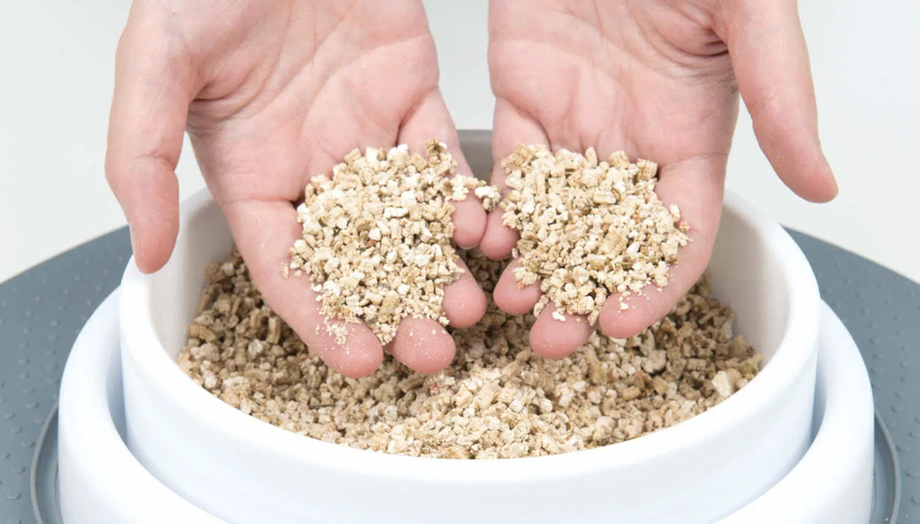 Catit grass shop kit