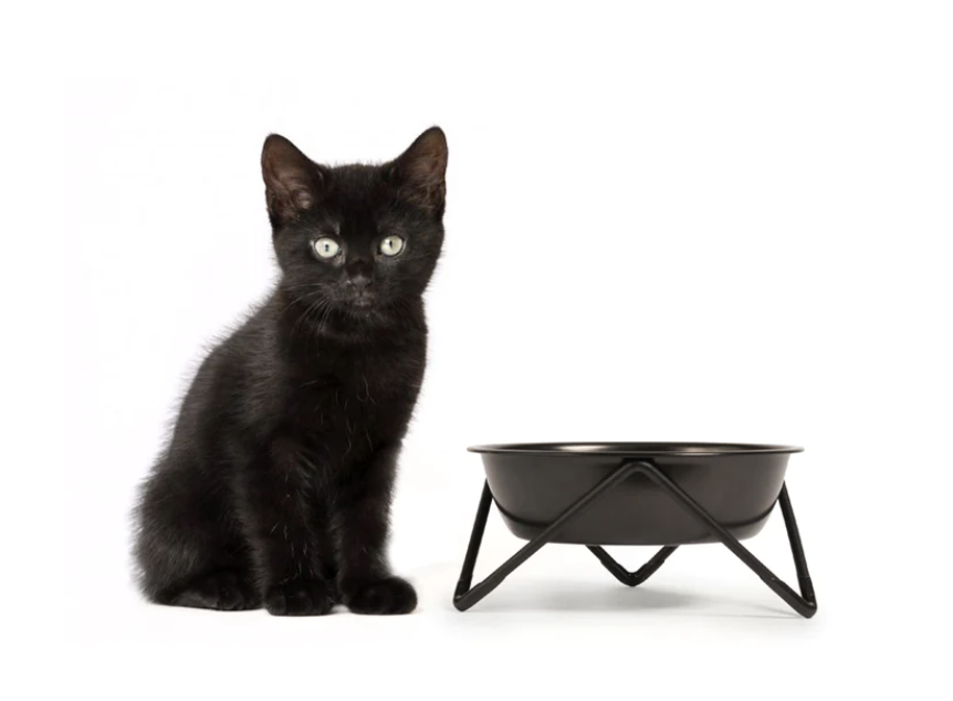 Luxe Meow Cat (or Mini Woof) Bowl - Black Base/Black Bowl
