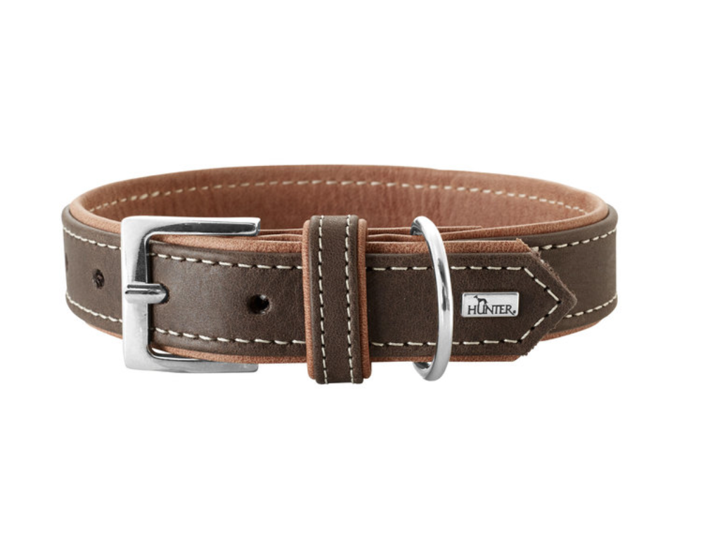 Porto - Shop Hunter dog collars