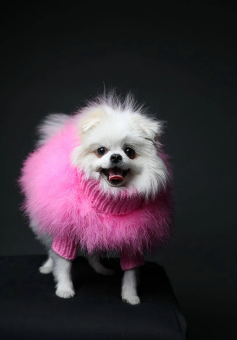 Christian Cowan x maxbone Designer Feather/Knit Jumper - Hot Pink