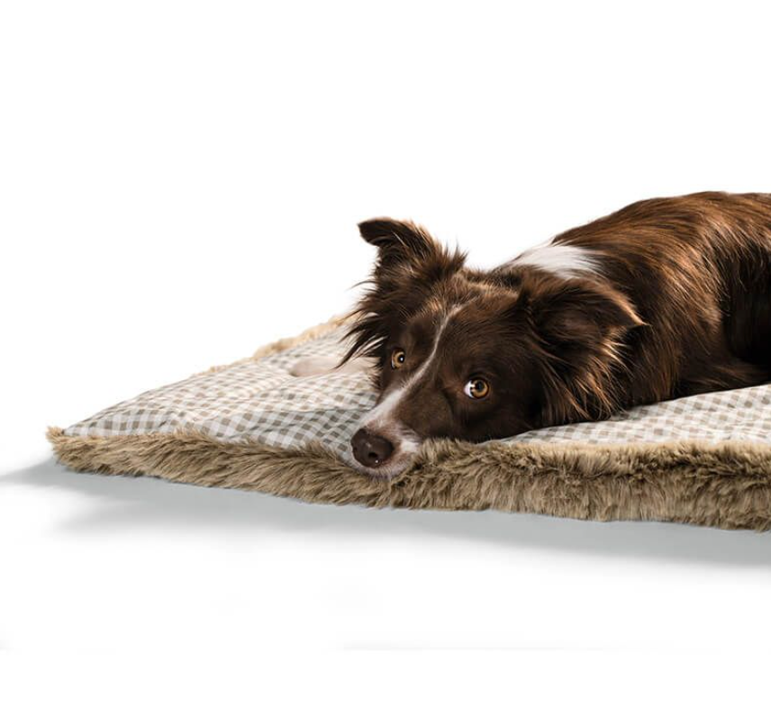 Dog lying on the Astana Check Pet Blanket