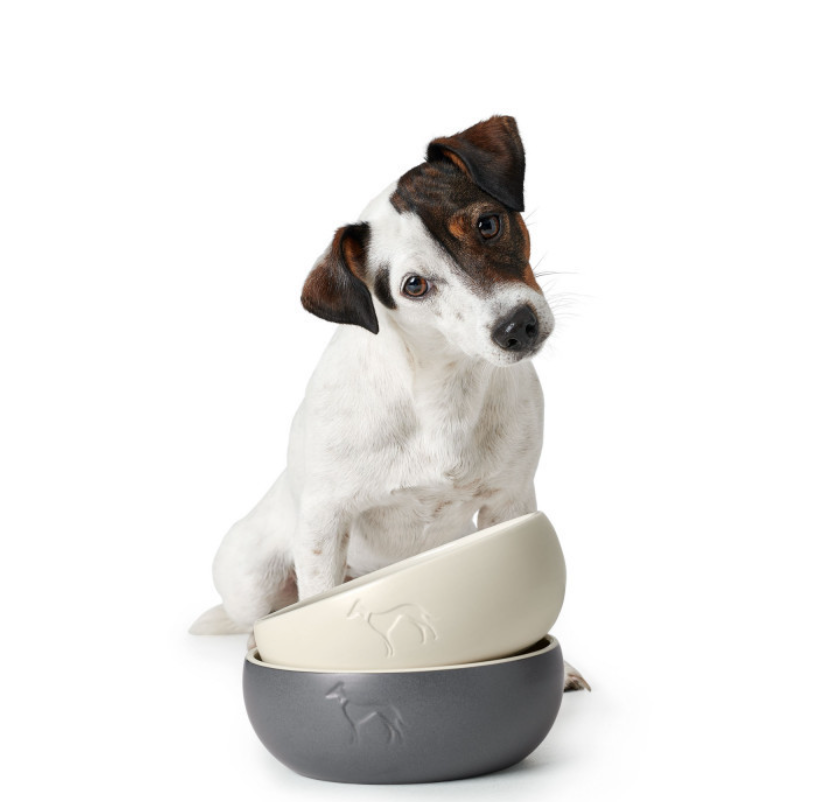 Dog with its dog bowls