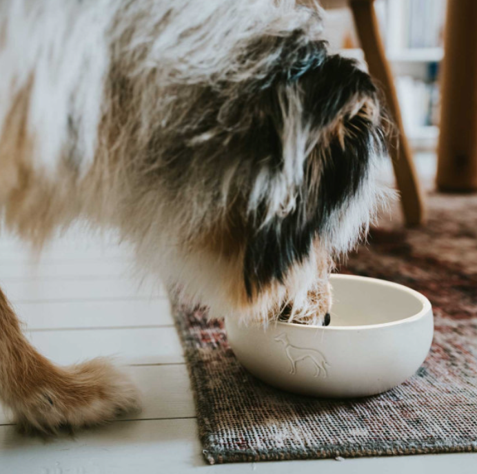 Dog accessories and bowls by Hunter