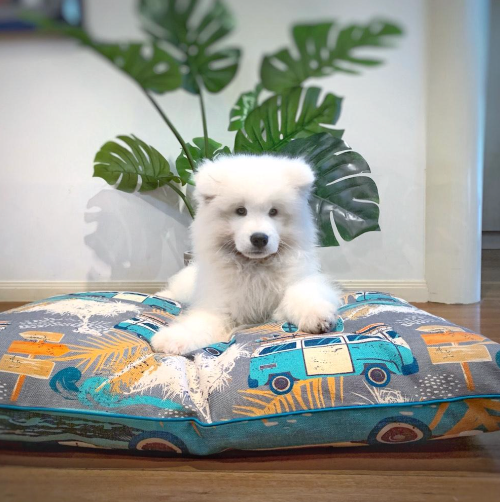 Happy dog on an Indie Boho Byron Surf pet bed