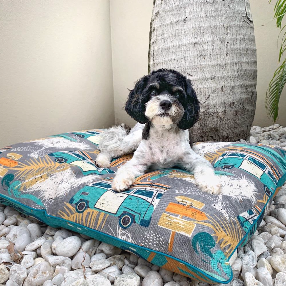 Dog happy on its Byron Surf Pet bed outside