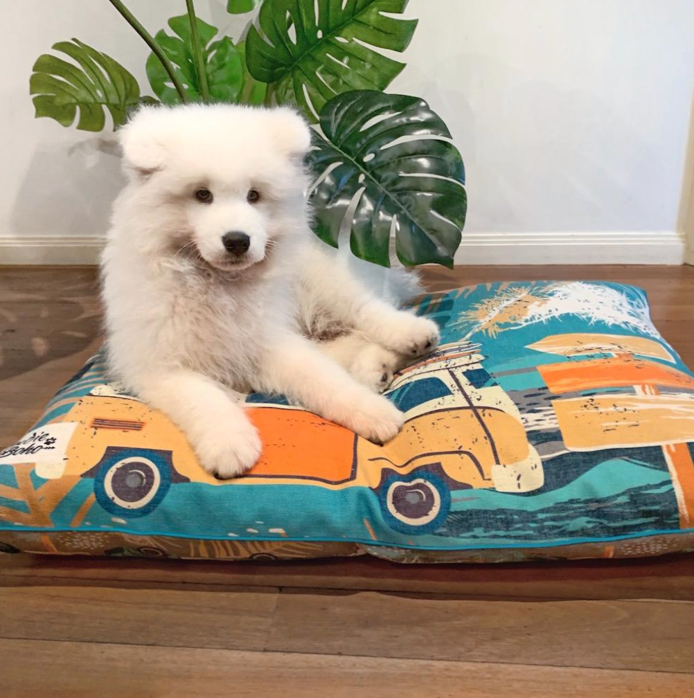 Designer dog beds by Indie Boho from Charli & Coco