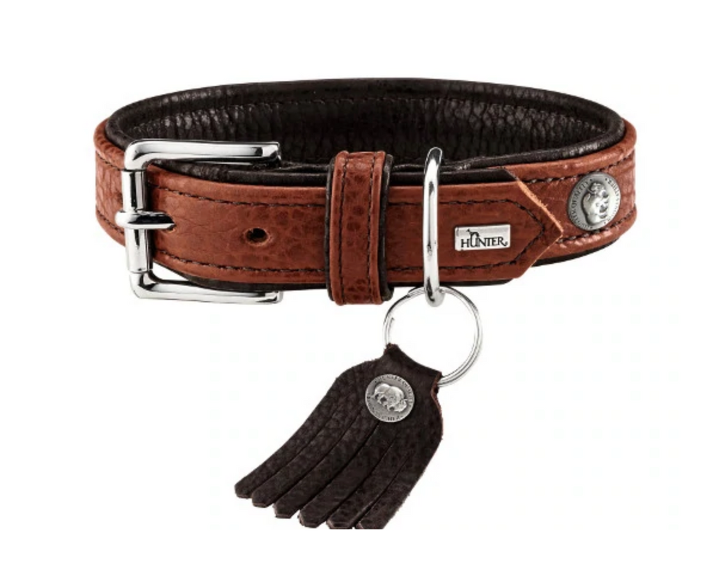 Cody Bison Collar (Comfort) luxury leather dog collar