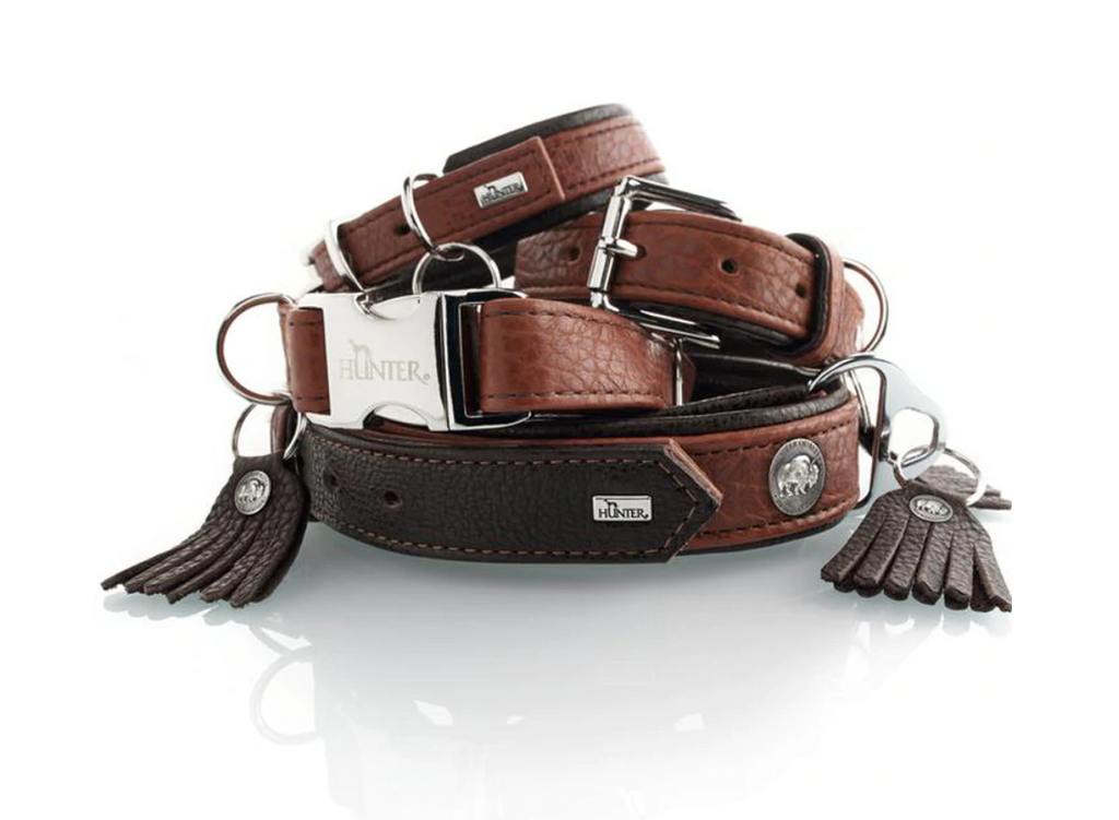 Cody Bison Collar designer dog collars