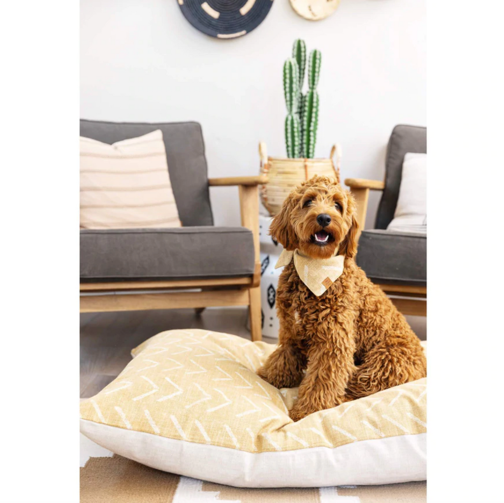 Parachute dog bed cheap