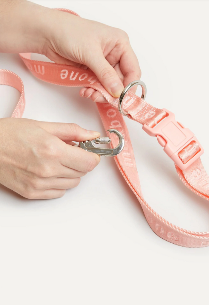 Clips for the GO! With Ease Hands Free Leash - Peach