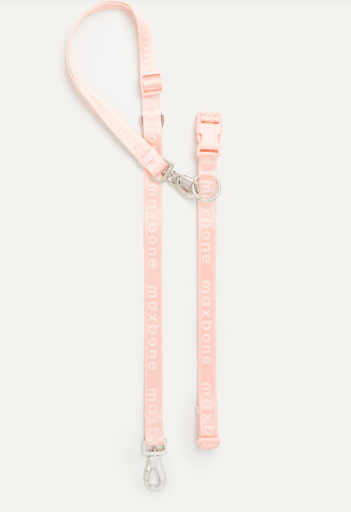 Designer dog leash by maxbone