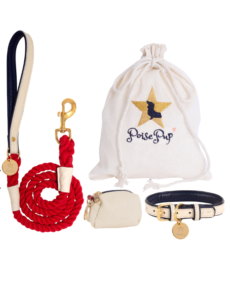 Hot Marine Fine Italian Leather dog accessories set