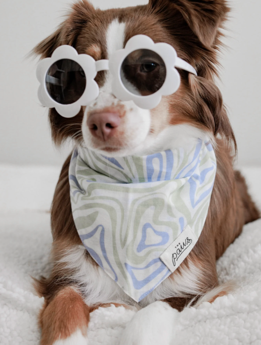 Yeah Baby Bandana | The Paws Bandanas