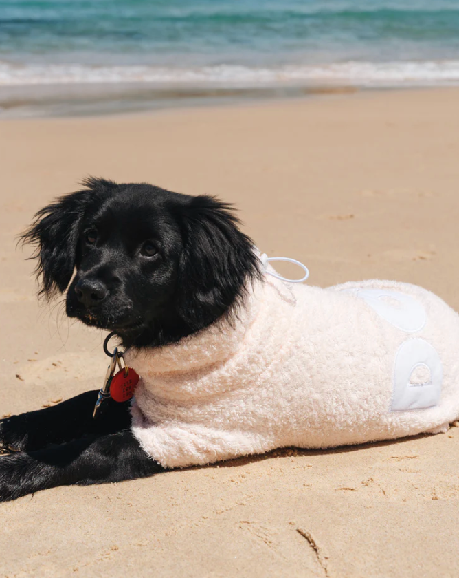 Dog wearing Blush Poncho at the beach