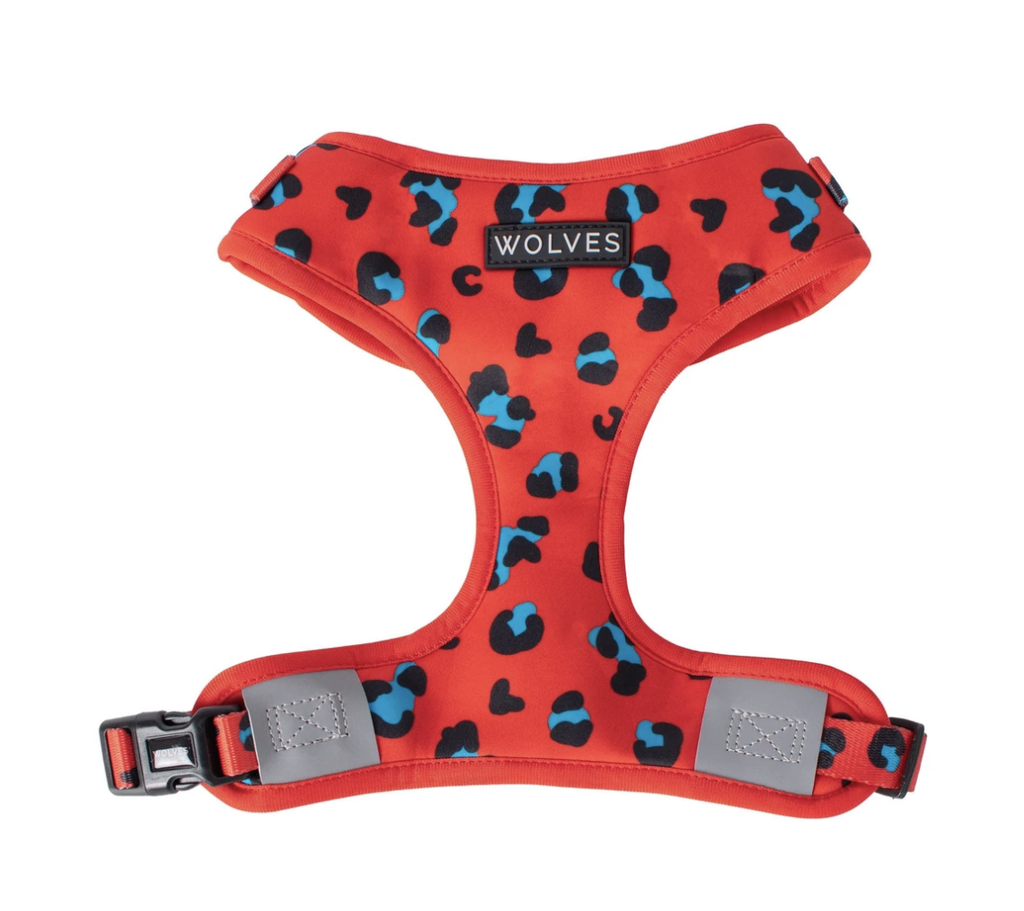 Cleo pro dog harness best sale