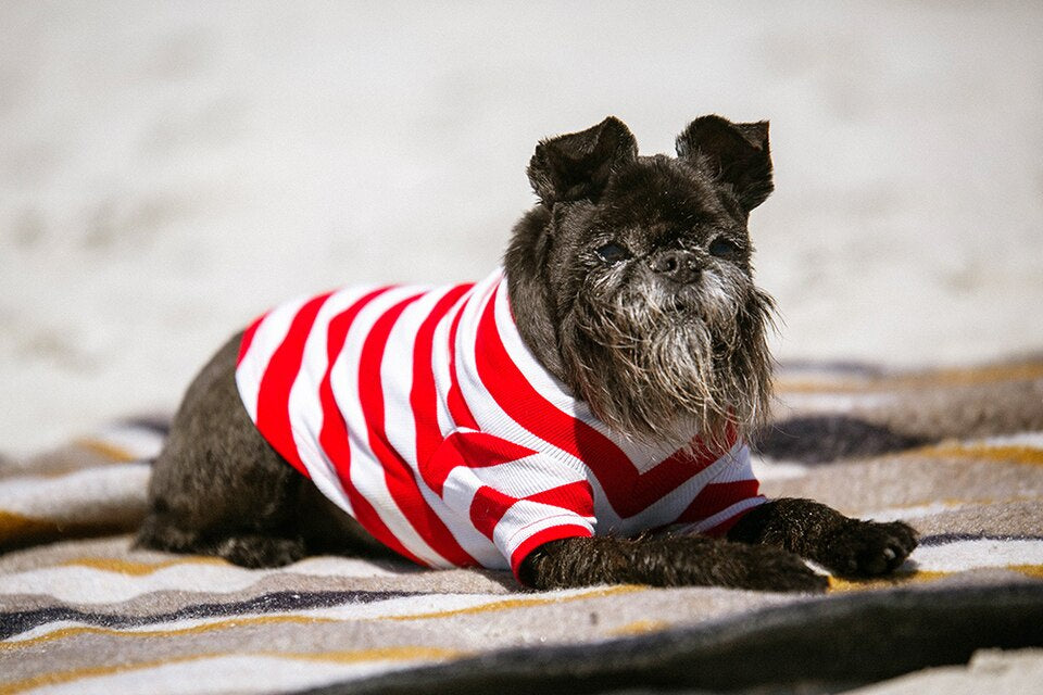 Striped Red Cotton Tee